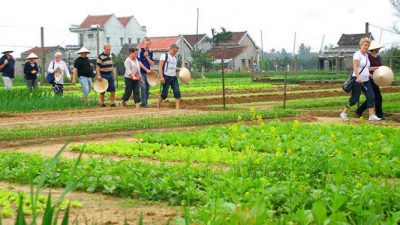 Trà Quế Vegetable Village tourist attraction